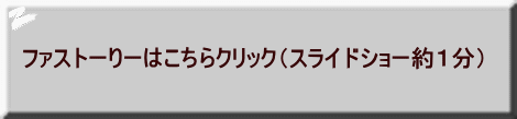 ファストーりーはこちらクリック（スライドショー約１分）